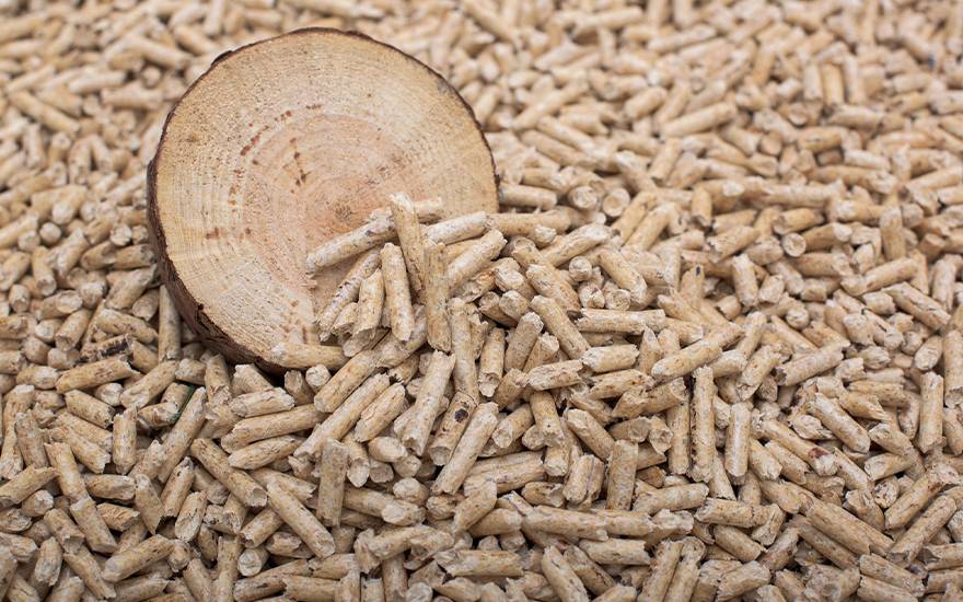 pellet