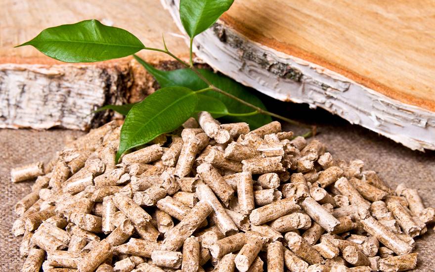 Pellet